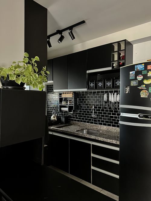 Cucarachas Pequeñas en la Cocina: ¿De Dónde Salen y Cómo Eliminarlas?